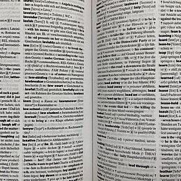 Eine aufgeschlagene Seite eines Wörterbuchs ©Amerikahaus