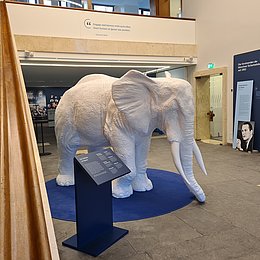 Foyer des Eingangsbereichs des Amerikahauses Münchens mit Ausstellung "60 Jahre Münchner Sicherheitskonferenz", eine große, weiße Elefantenstatue steht mitten im Raum (c)Amerikahaus München